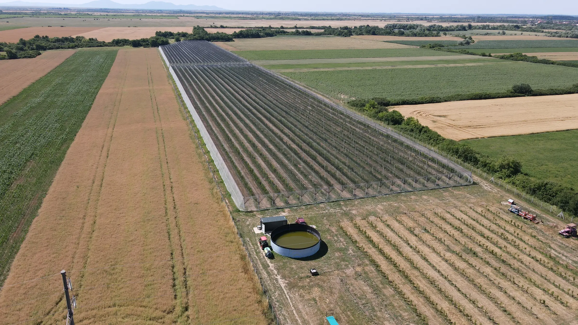 Vue aérienne de vergers protégés par des filets, avec bassin de rétention et exploitation en plaine